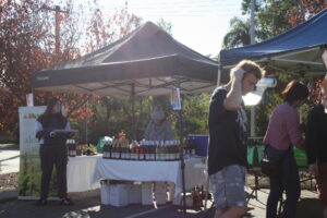 Clean Healthy Living - non alcoholic wines market
